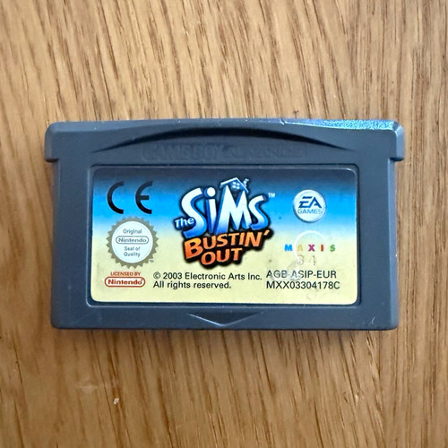 The sims bustin - out, (nintendo